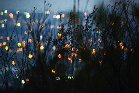 Dot lights ;-)