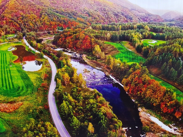 Nature