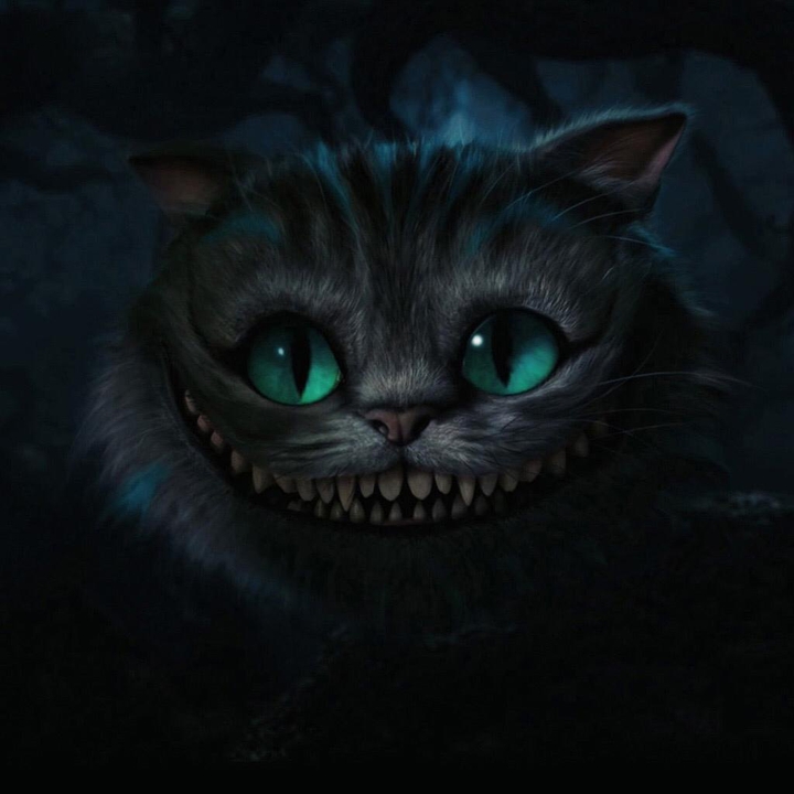 alice cat