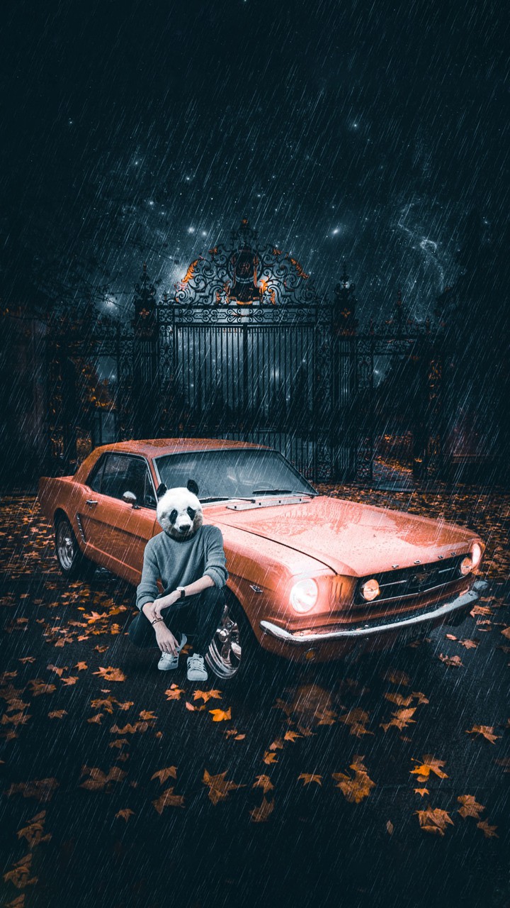 Wallpaper