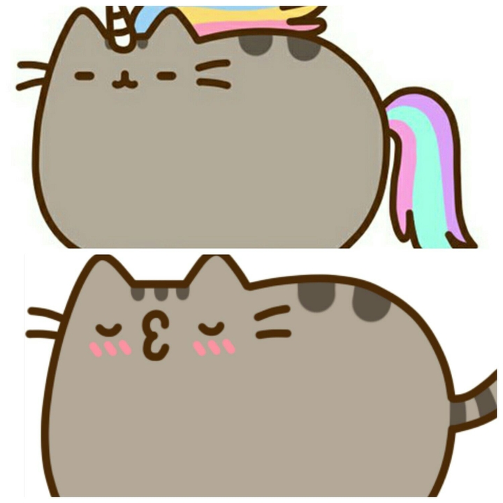 Pusheen