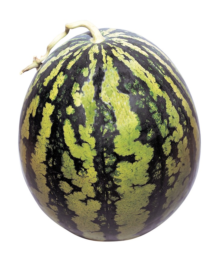 음식