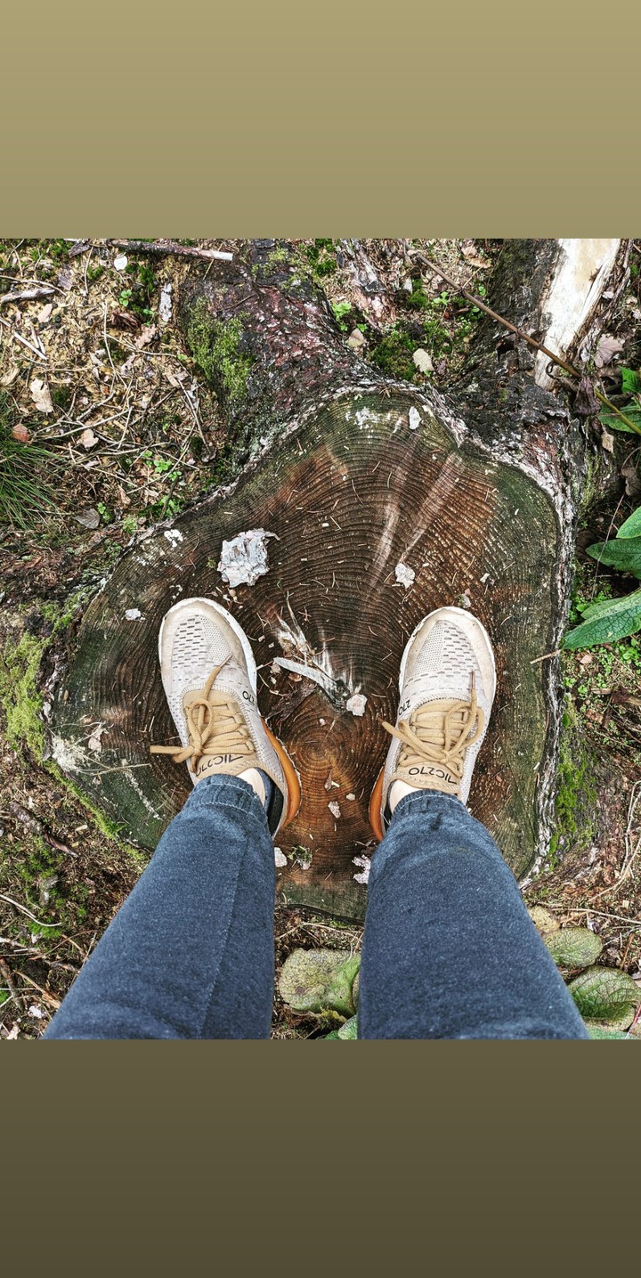 Baum
