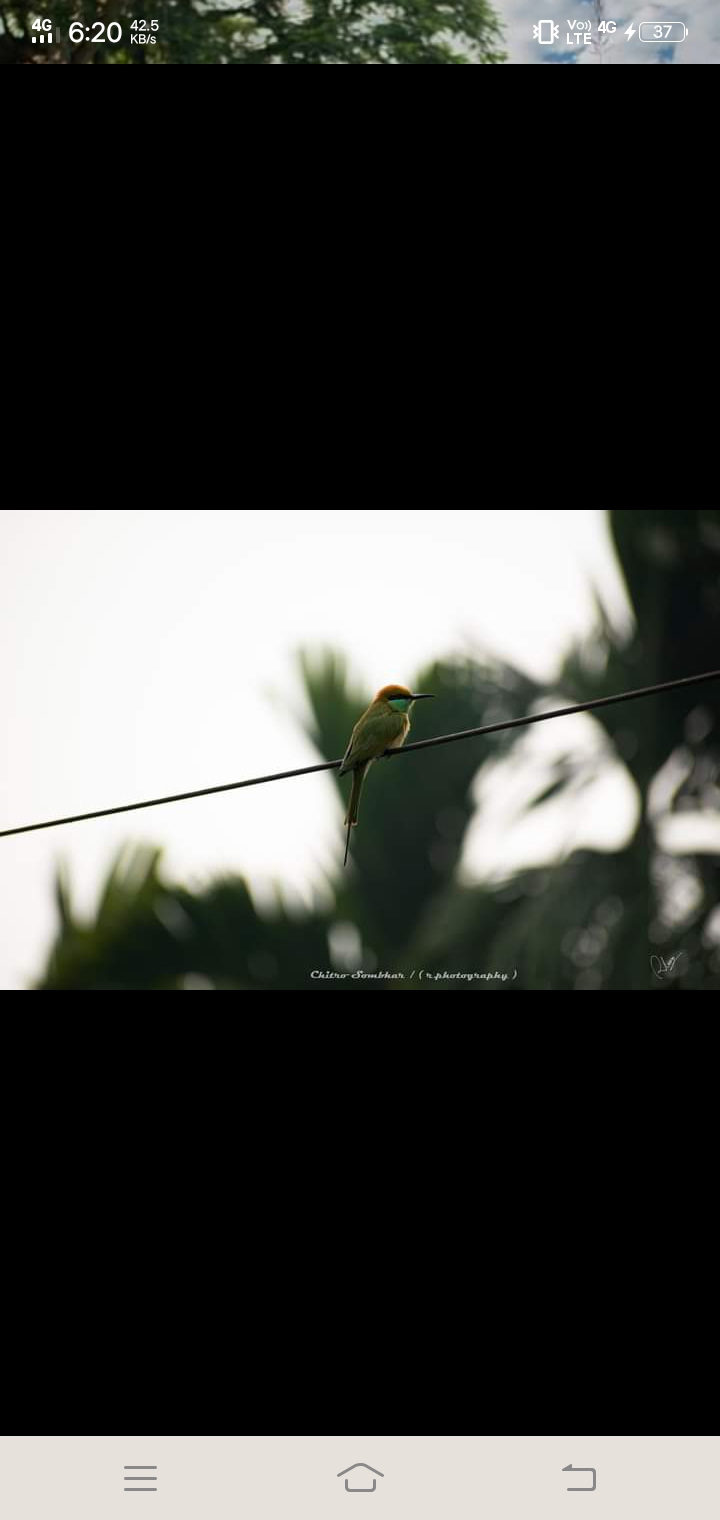 Thinking??????