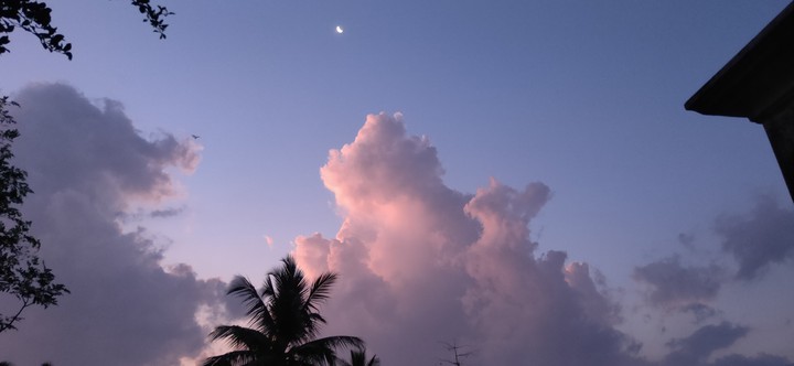 cielo de pereira