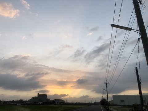 sunset•1