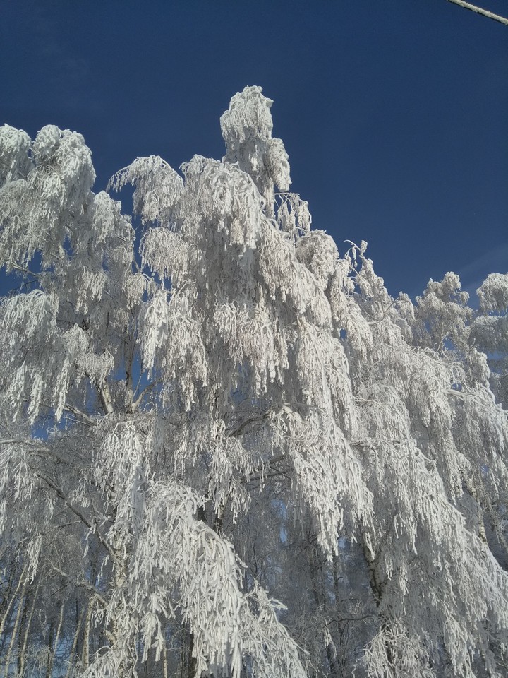 Зимние красоты 3