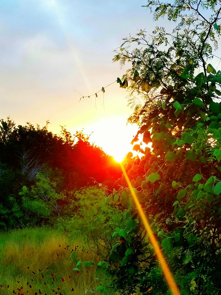 Texas sunrise