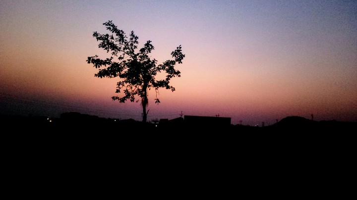 Nature