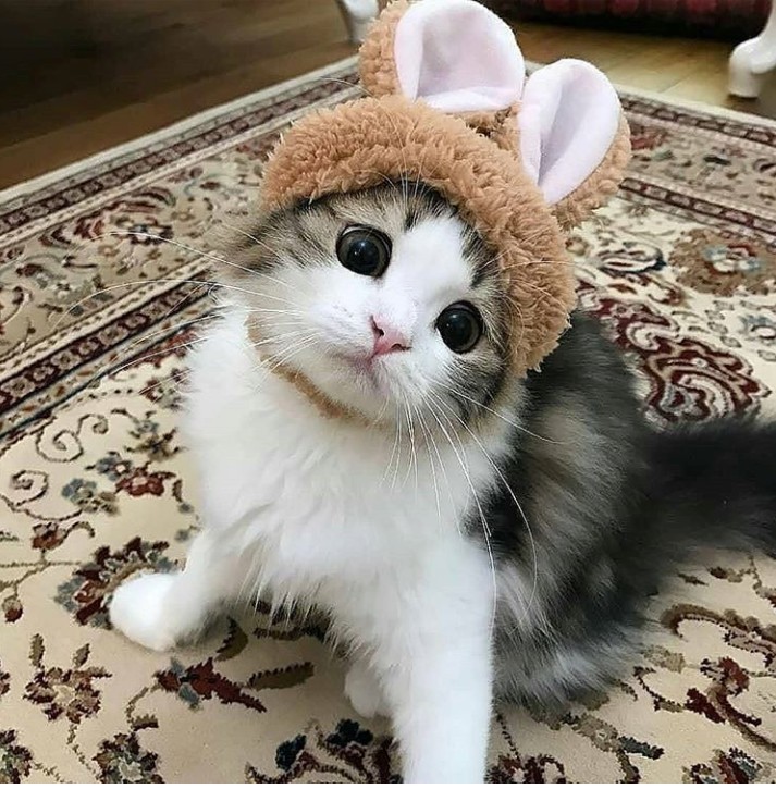 Привет всем