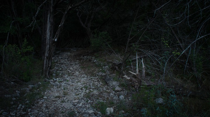 scary woods