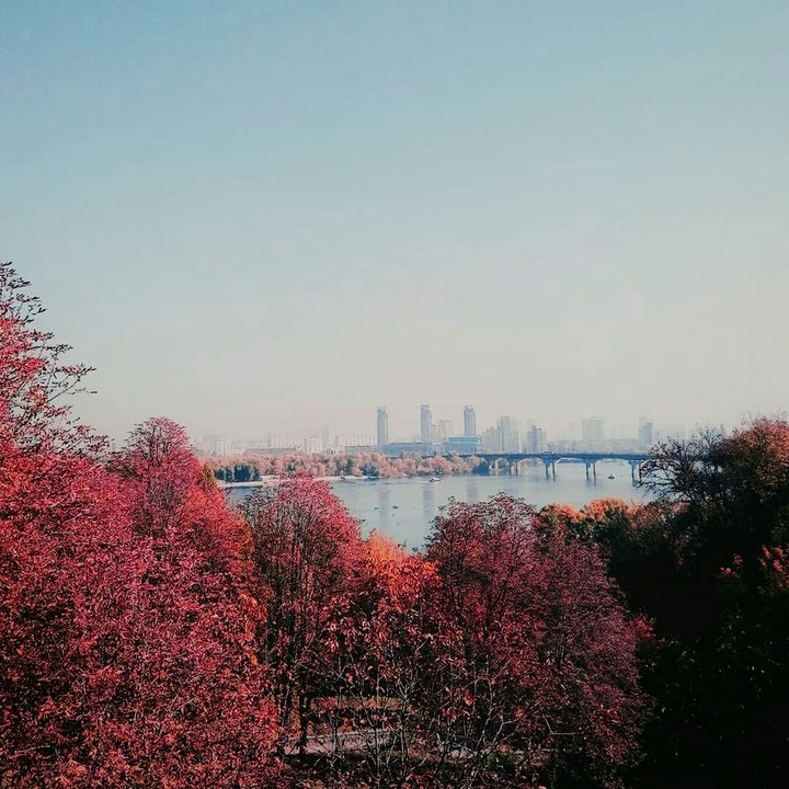 завораживает