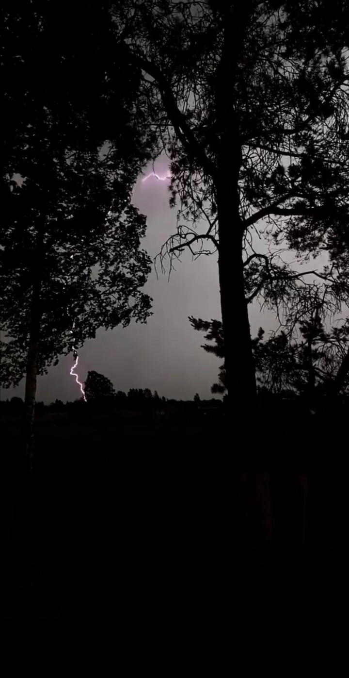 Night.  Nature.  Forest.