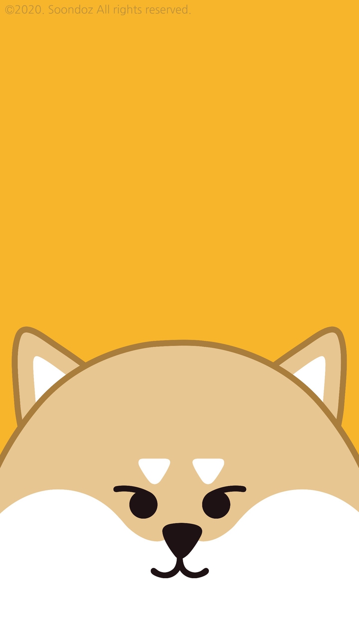 Shiba dog
