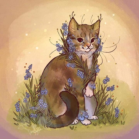 Gato