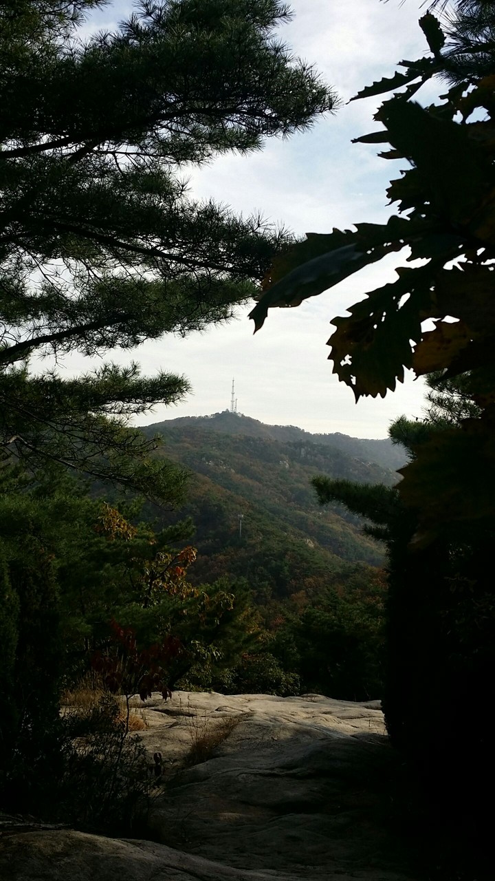 바라봄