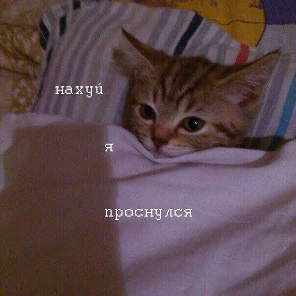 хихихи