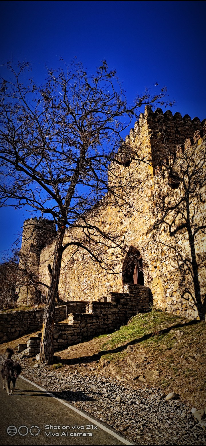 castle