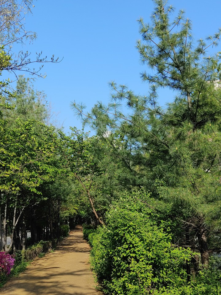 산책