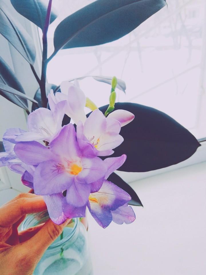 Delicate flower :)