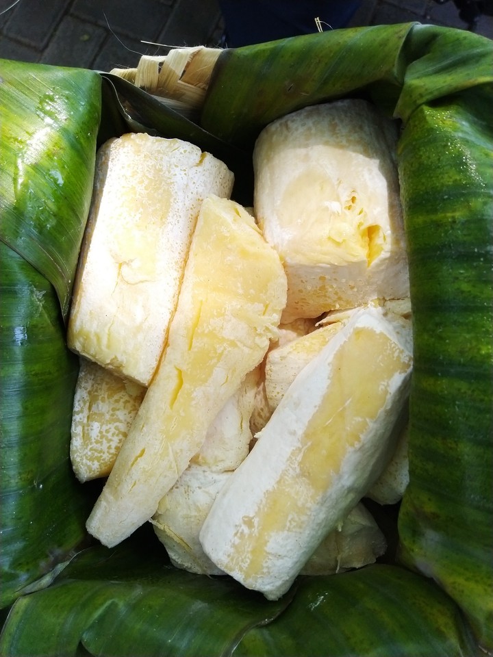 fermented cassava