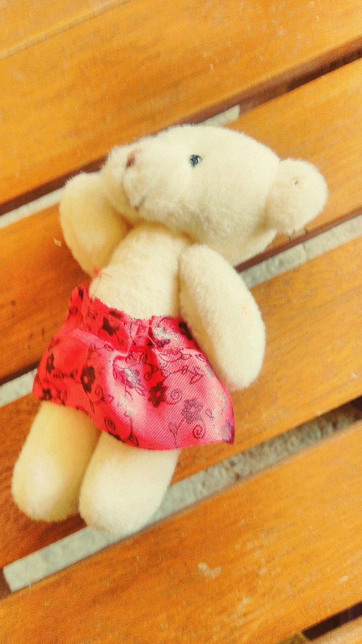 Bear Story