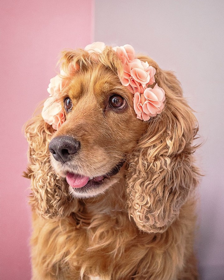 So cute