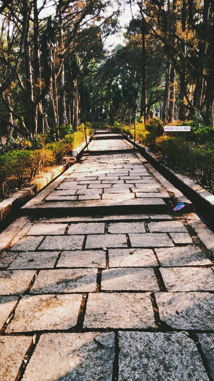 Road