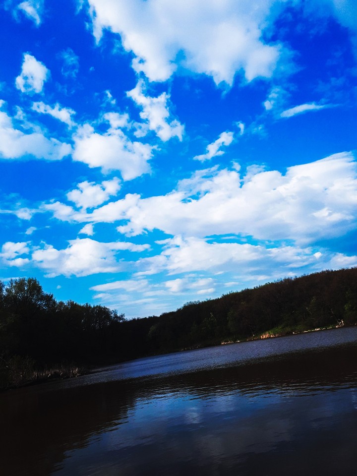 Into the sky...