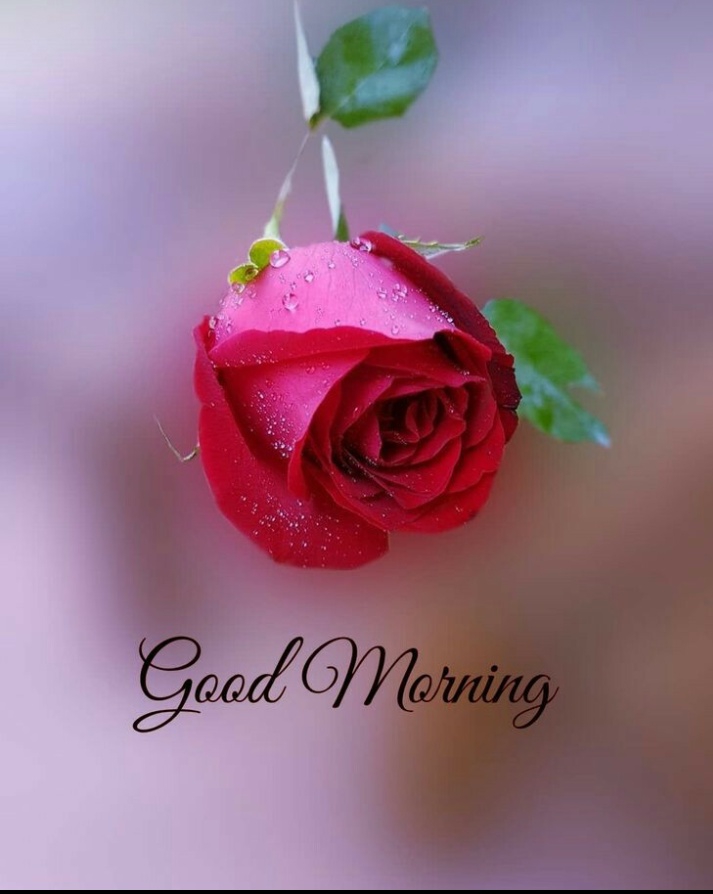 #goodmorning