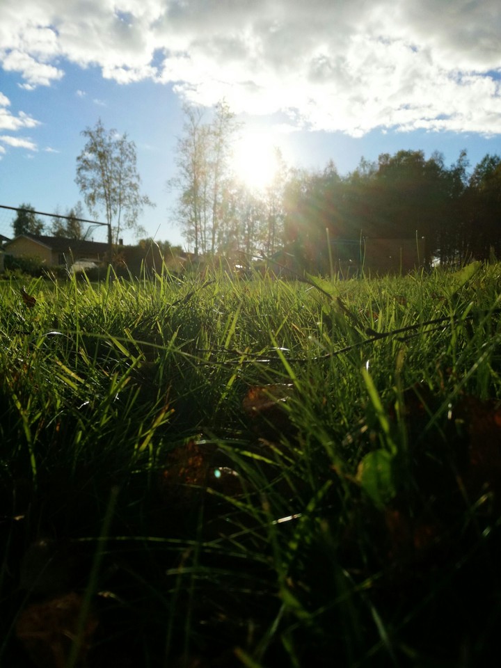 Relaxing on the grass