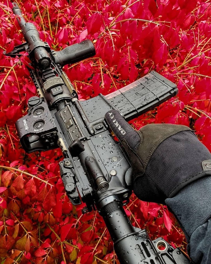 Gun on flowers