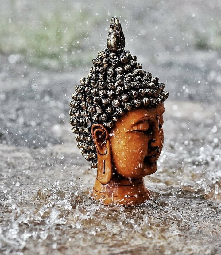 buddh