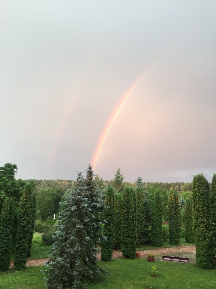 Веселка