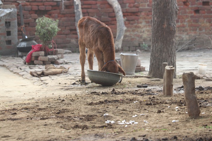 indian village