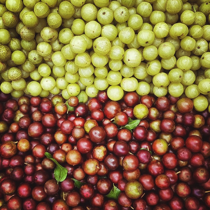 fruits