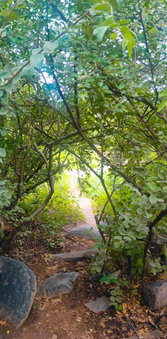 green
