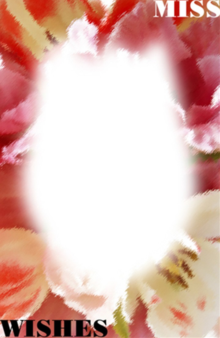 레이어시리즈