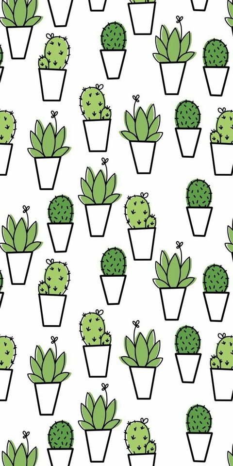 cactus wallpaper