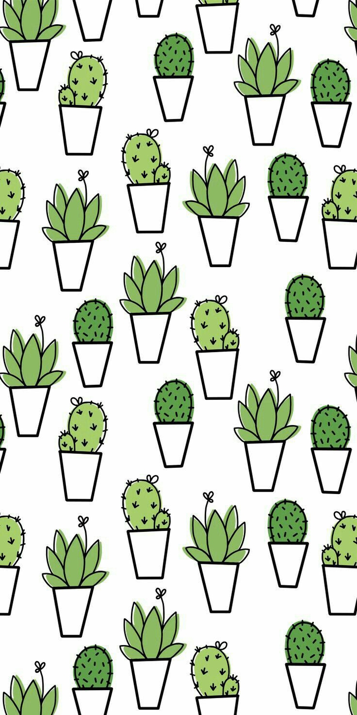 cactus wallpaper