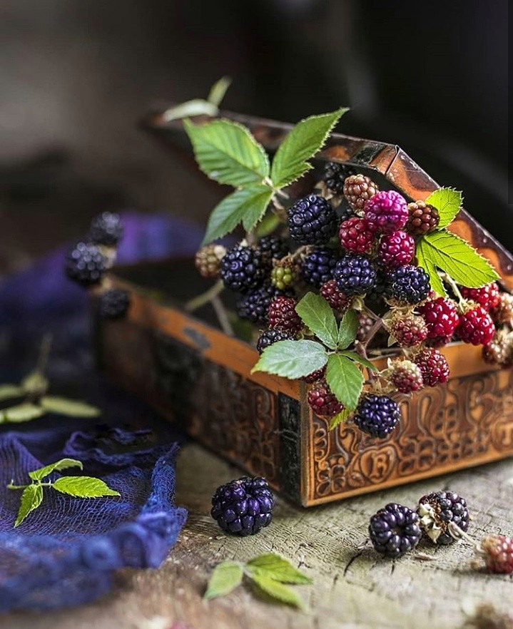 forest berries
