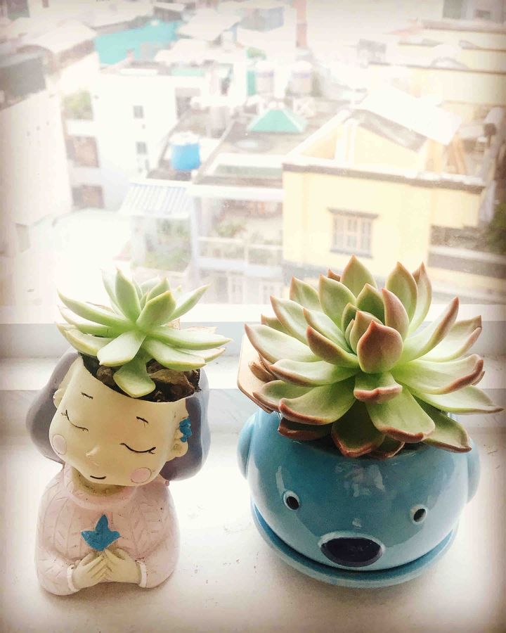 little green