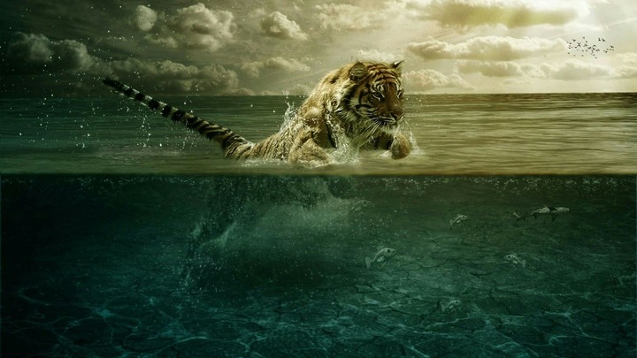 водяной тигр