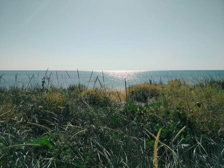 Seaside