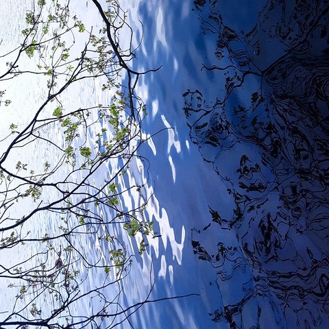 Reflection