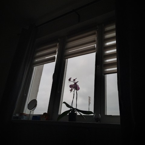 Serenity