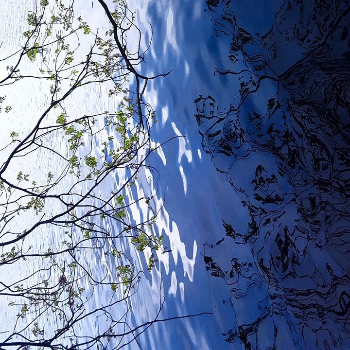 Reflection