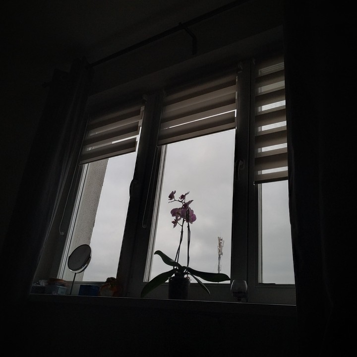 Serenity