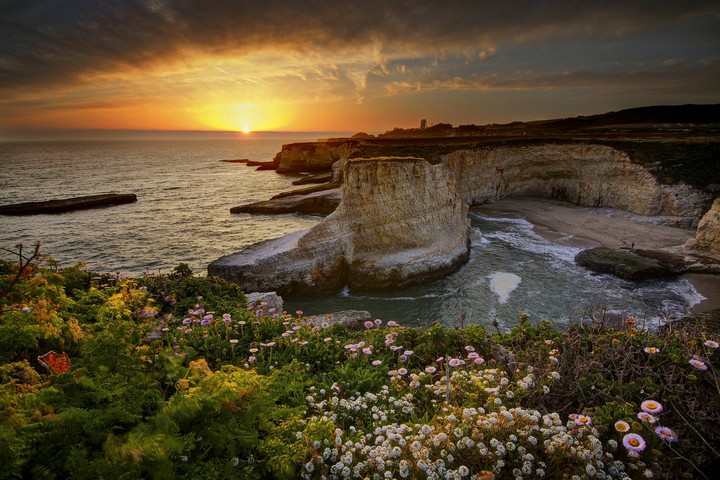 Nature's Beauty