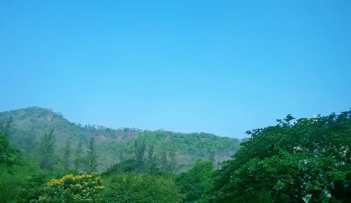 Scenery